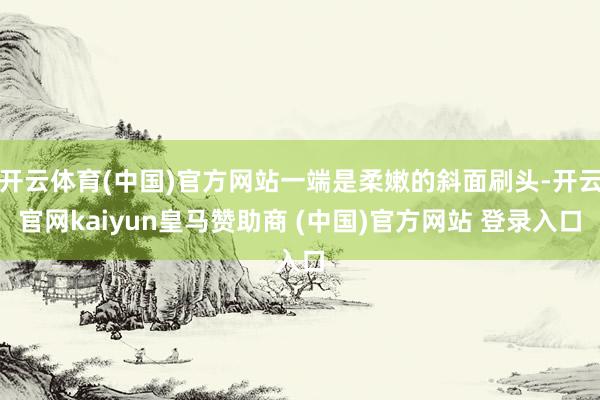 开云体育(中国)官方网站一端是柔嫩的斜面刷头-开云官网kaiyun皇马赞助商 (中国)官方网站 登录入口