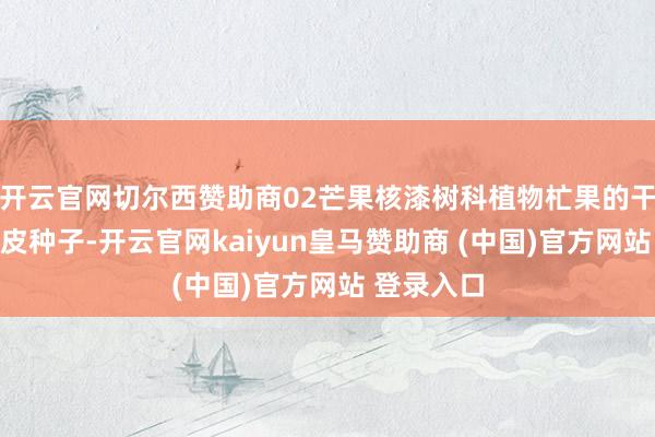 开云官网切尔西赞助商02芒果核漆树科植物杧果的干燥带内果皮种子-开云官网kaiyun皇马赞助商 (中国)官方网站 登录入口